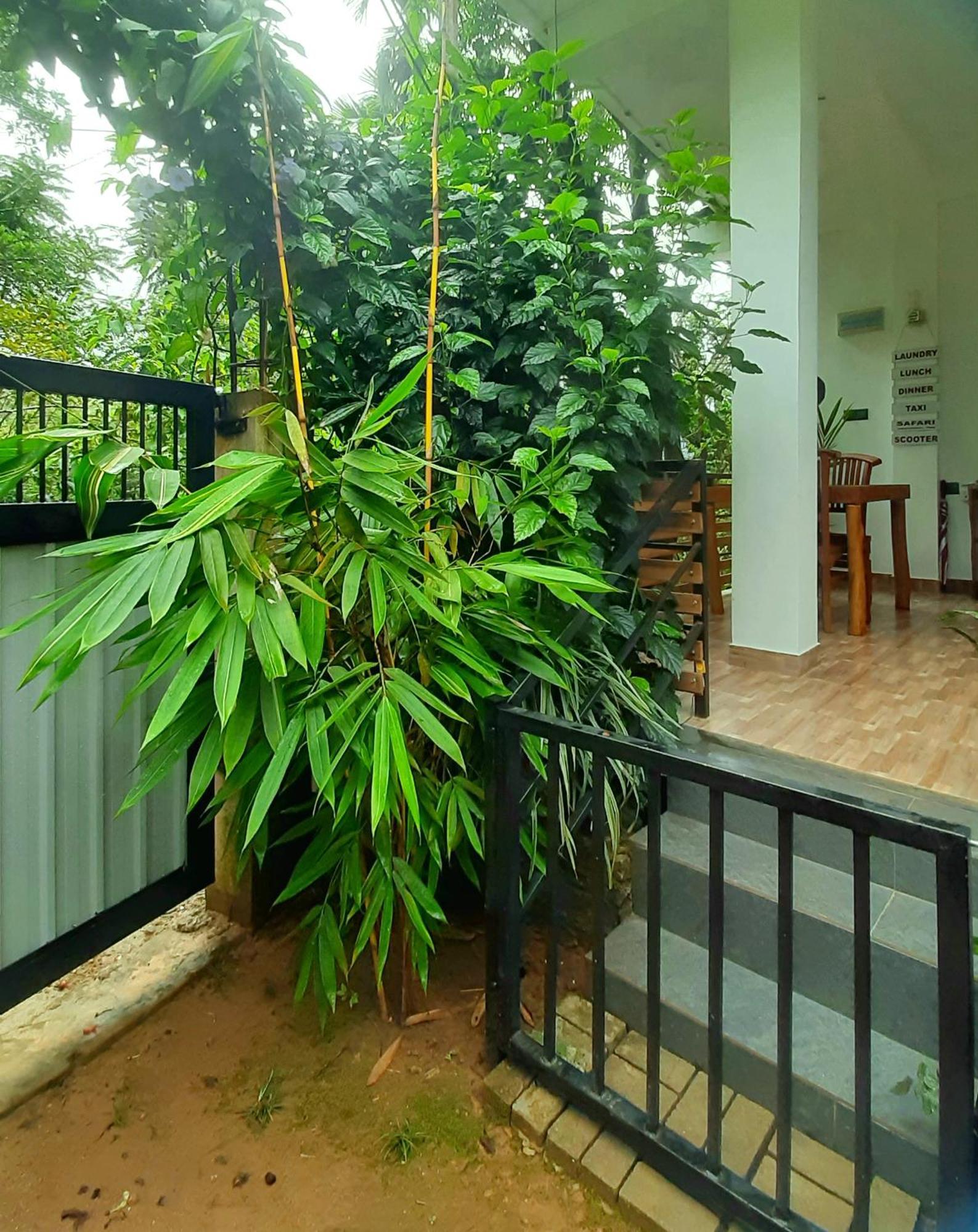 Dhanudi Homestay Ella Exterior foto