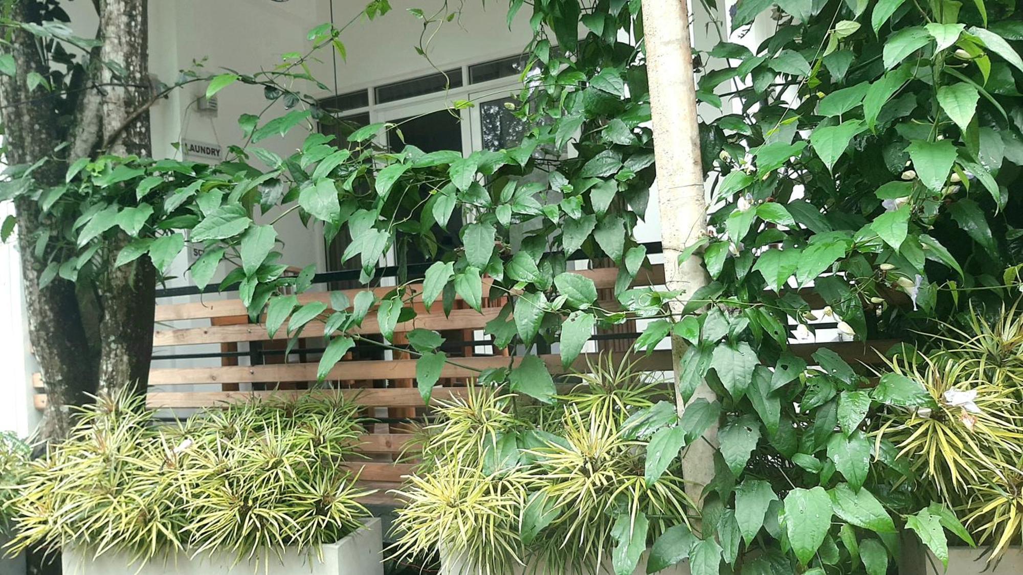 Dhanudi Homestay Ella Exterior foto